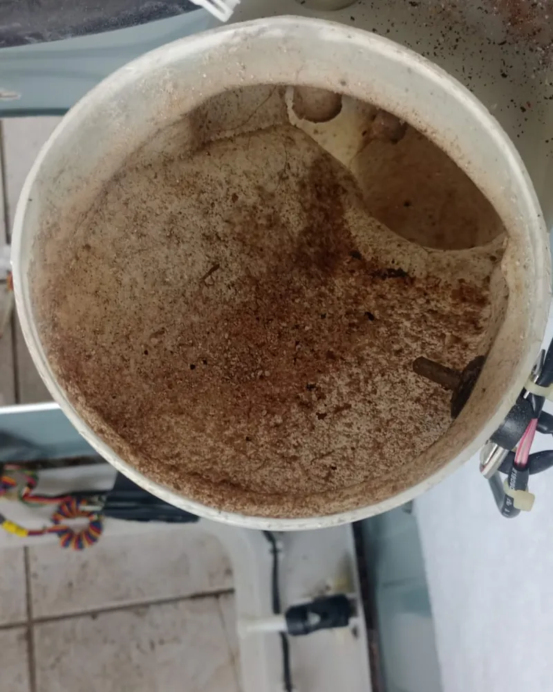 Tanque de lavadora com sujeira acumulada antes da higienização